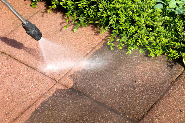 Best Exterior Home Cleaning  in Sacred Heart University, CT