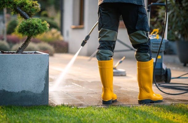 Best Best Pressure Washing Companies  in Sacred Heart University, CT